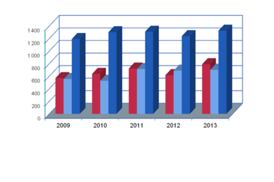 Gerechtelijke statistieken 2013: nog nooit geziene cijfers