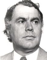 M.W.J.M. Peijnenburg